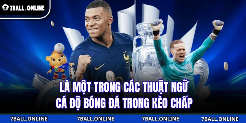 Là một trong các thuật ngữ cá độ bóng đá trong kèo chấp